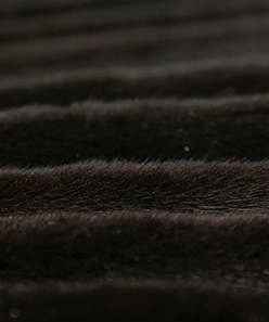 Mink