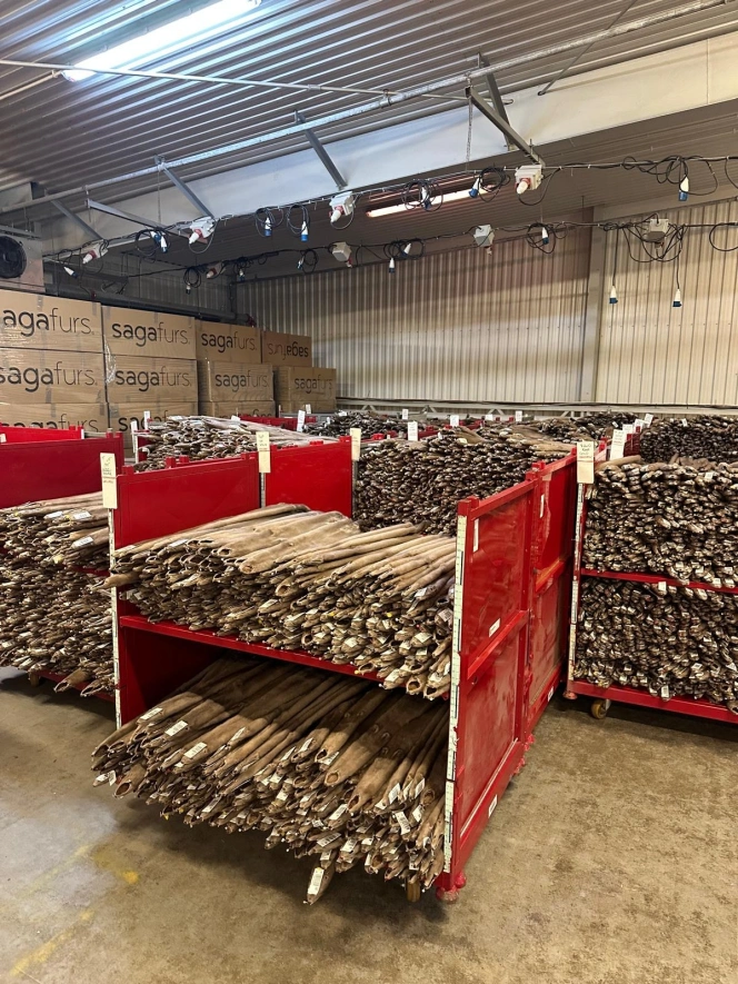 56705e64 6753 44b4 a795 d3c563ef2b8d