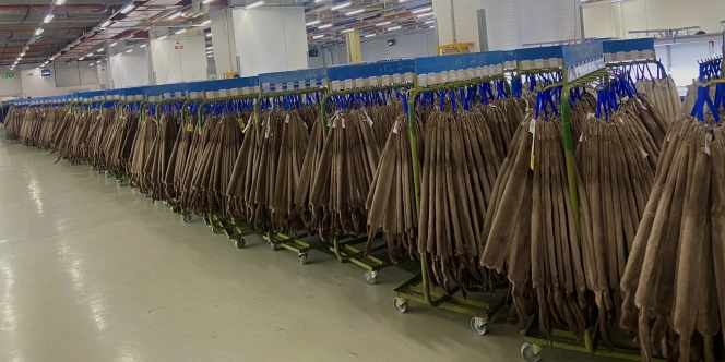 602c50e9 be15 4473 a9cd 8c14a5ea890a 2