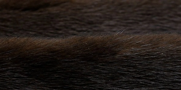 433dc2198262984fd7dd4993d60aea30