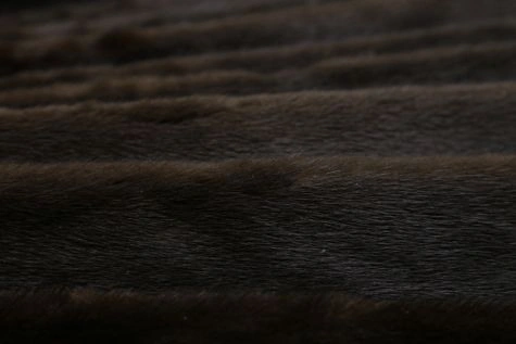 17cf0e68384f11af9e8a05aab8953709