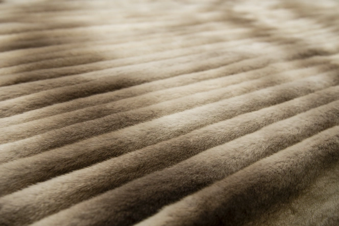 Ccbbbf07a5e2ffbc860888239ae5cfb6